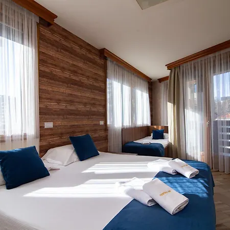 Central Inn * 兹拉蒂博尔