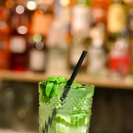 Central Inn 兹拉蒂博尔