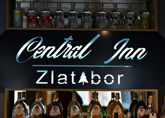 Central Inn شقة *